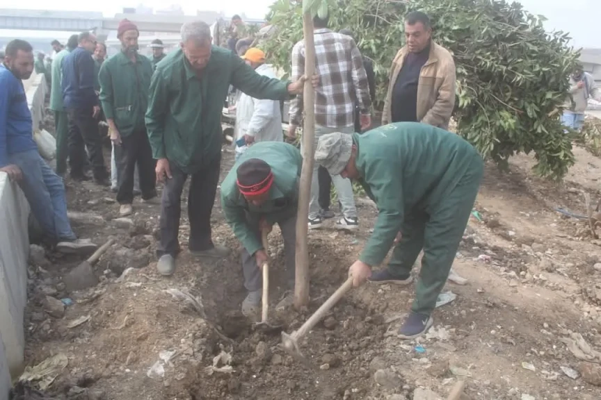 محافظ الجيزة: تنفيذ المرحلة الأولى لتشجير الطريق الدائري