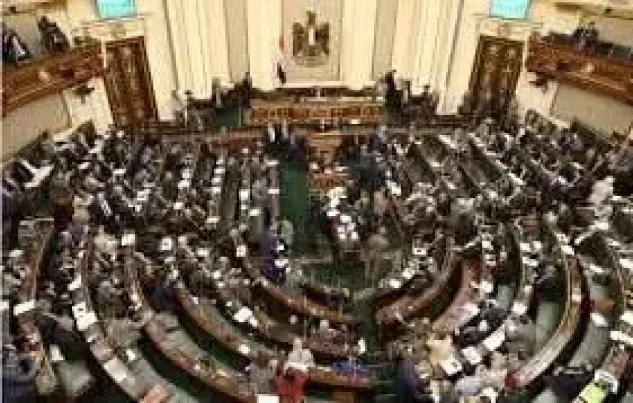 إقبال كبير للناخبين المصريين بألمانيا للتصويت في انتخابات مجلس النواب