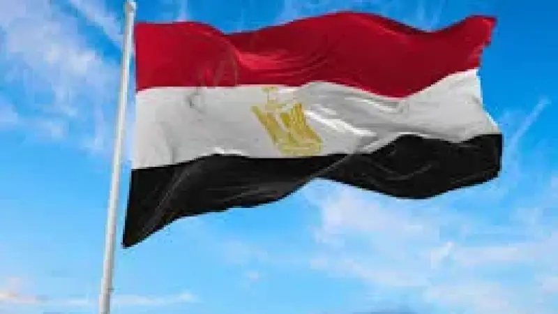 مصر تدين التوغل الإسرائيلي وقصف بلدة كويا في سوريا