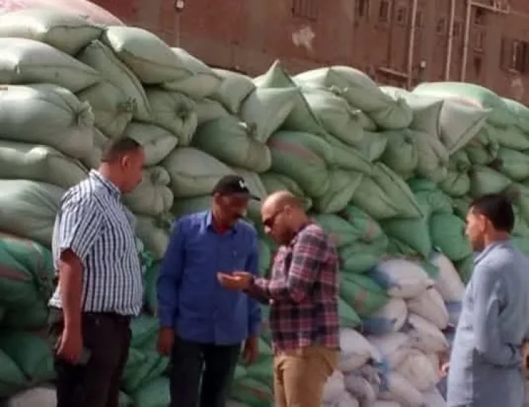 محافظ بني سويف: استلام 40 ألف طن قمح محلي بمواقع التخزين والاستلام بالصوامع والشون