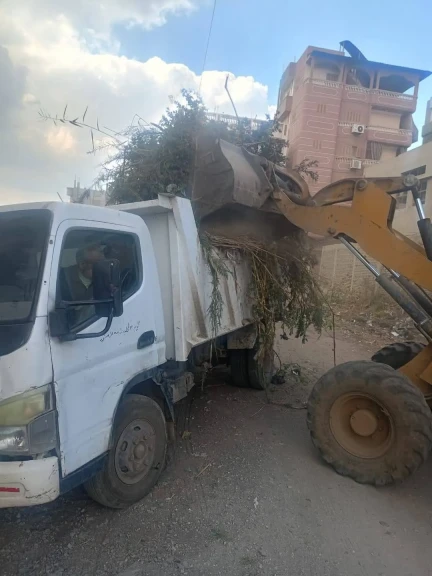 فى استجابة لشكاوى المواطنين إزالة الغاب والحشائش بمنطقة مصنع العشرى بفارسكور