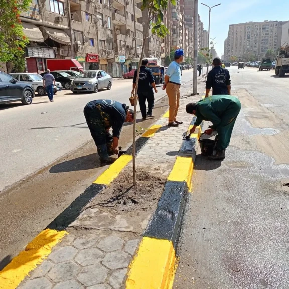 محافظة الجيزة تشن حملات نظافة وتجريد بحي الطالبية