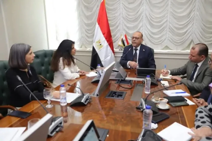 وزير العمل يلتقى فريق عمل من منظمة العمل الدولية