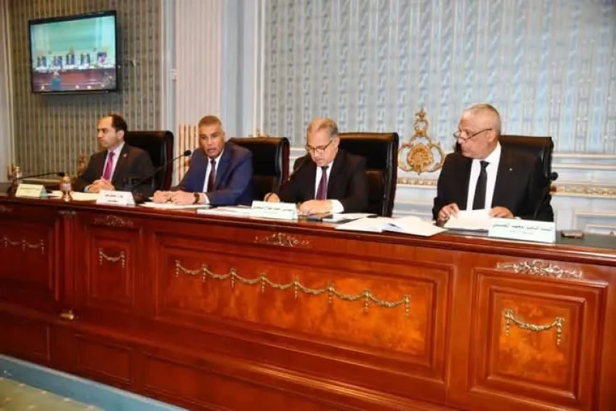 محافظ أسوان يستعرض جهود المحافظة لنهو كافة المشروعات