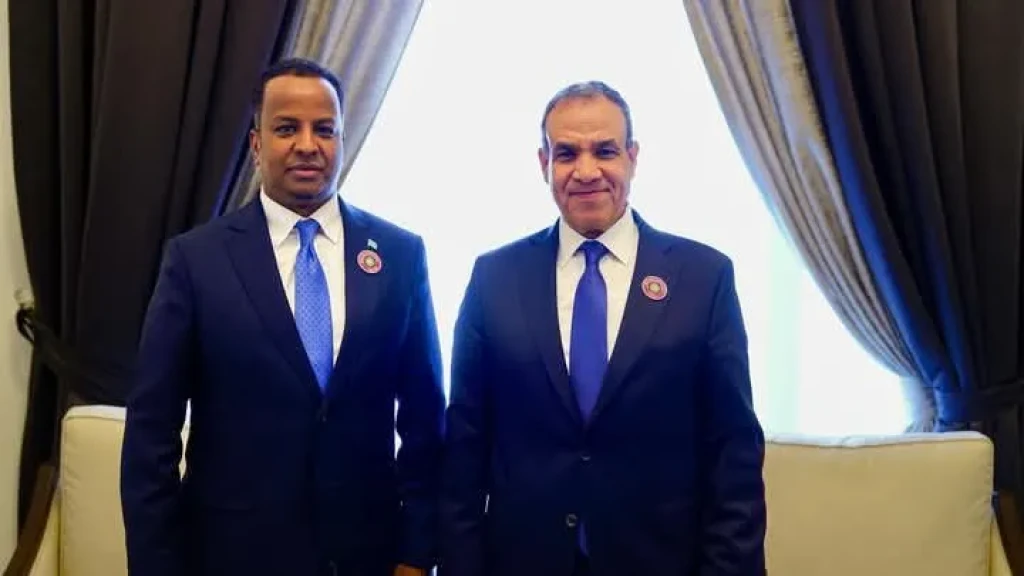 وزير الخارجية يؤكد دعم مصر الكامل لوحدة وسيادة الصومال وضرورة العمل على تعزيز جهود الأمن والاستقرار
