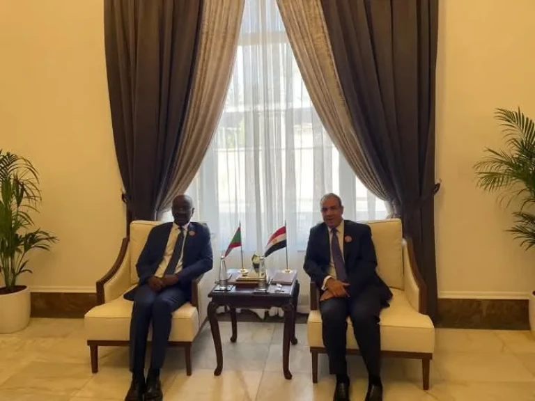 وزير الخارجية والهجرة يلتقي مع نظيره الموريتاني