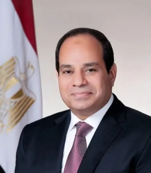 الرئيس السيسي يؤكد ضرورة تكامل عمل مؤسسات الدولة والقطاع الخاص في مجال البنية الأساسية للزراعة