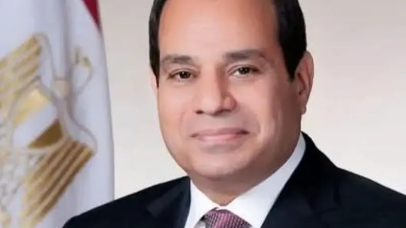 الرئيس السيسي يؤكد ضرورة تكامل عمل مؤسسات الدولة والقطاع الخاص في مجال البنية الأساسية للزراعة