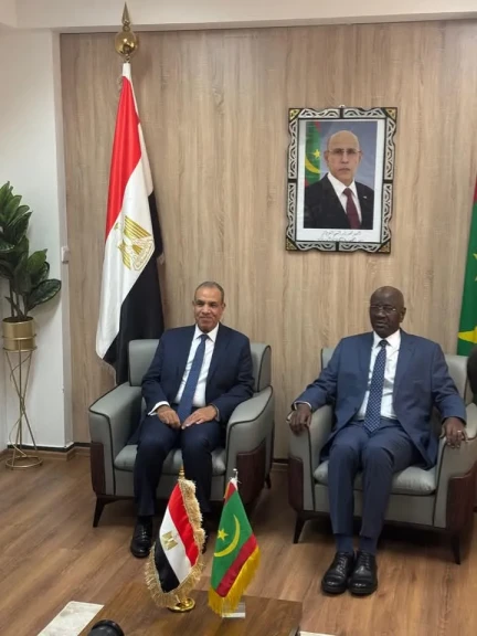 وزير الخارجية والهجرة و نظيره الموريتاني