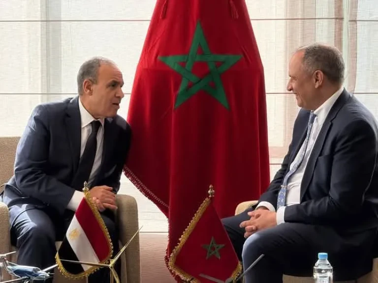 وزير الخارجية والهجرة يلتقي مع وزير الصناعة والتجارة المغربي في الرباط