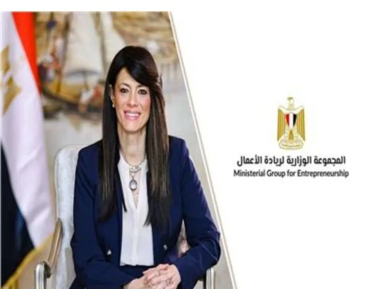 الشركات الناشئة بمصر تستقطب 228 مليون دولار من يناير إلى مايو 2025