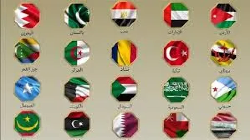 بيان مصري دولي مشترك يدين الهجمات الإسرائيلية على إيران