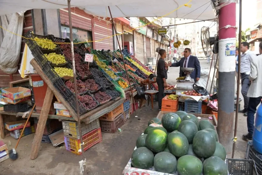 محافظ الدقهلية في جولة تفقدية مفاجئة بمدينة نبروه: