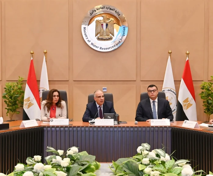 صورة توضيحية