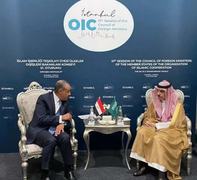 وزير الخارجية والهجرة يلتقي بنظيره السعودي