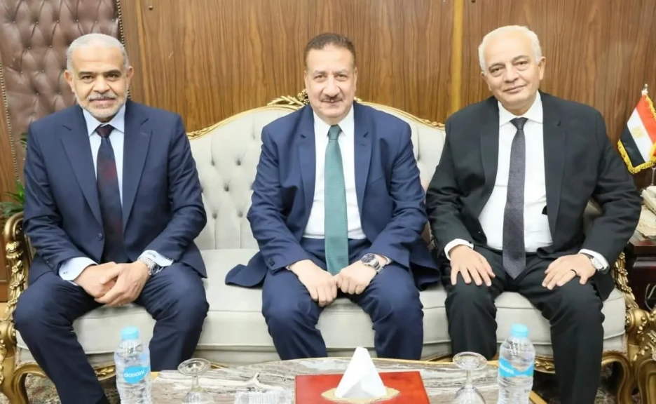 صورة توضيحية