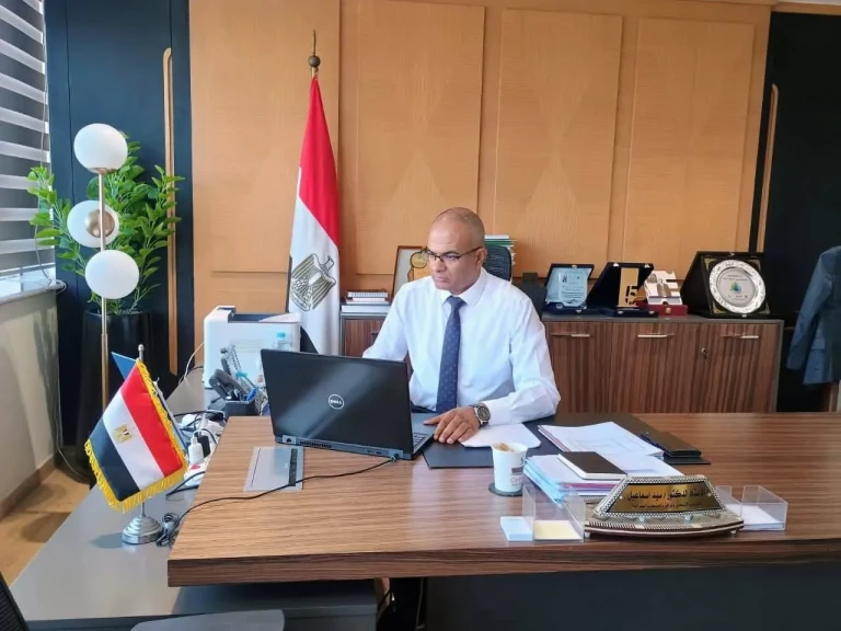 صورة توضيحية