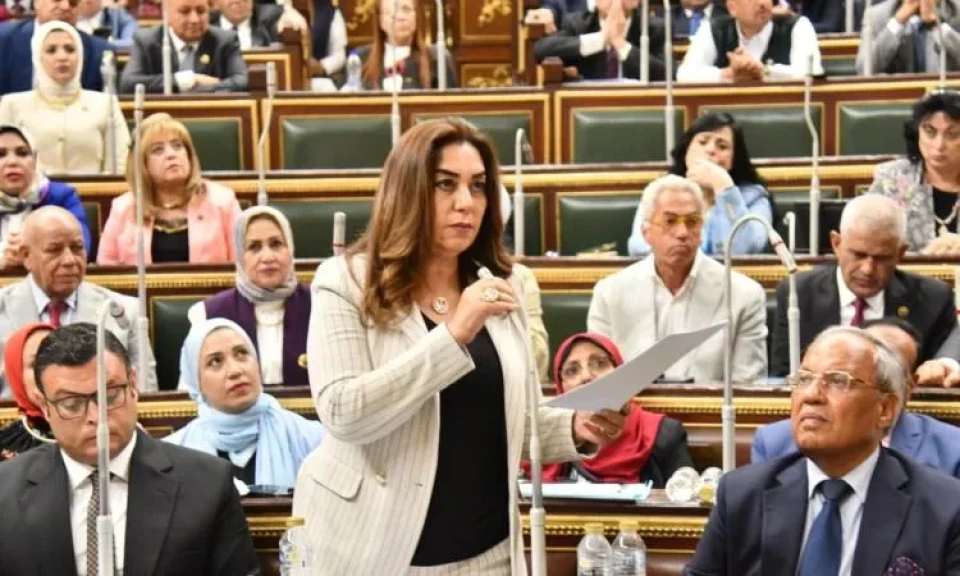 التنمية المحلية: سلمنا ”النواب” بيانا بالأراضي الصالحة لمشروعات الإسكان
