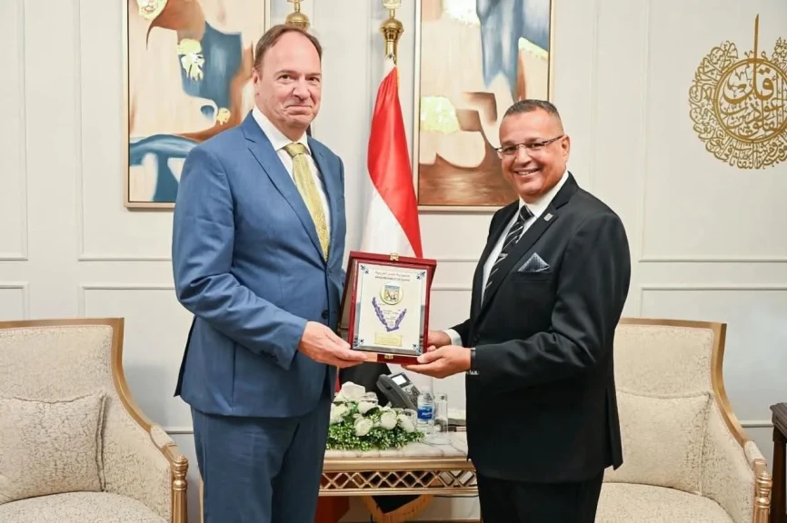 صورة توضيحية 