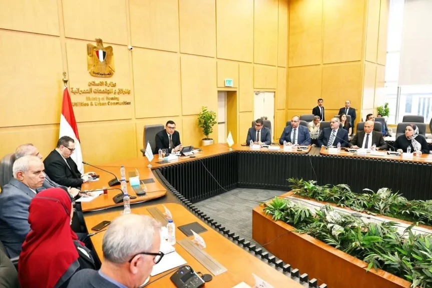 صورة توضيحية 