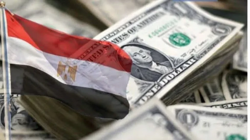 ارتفاع احتياطي النقد الأجنبي بمصر في نهاية يونيو