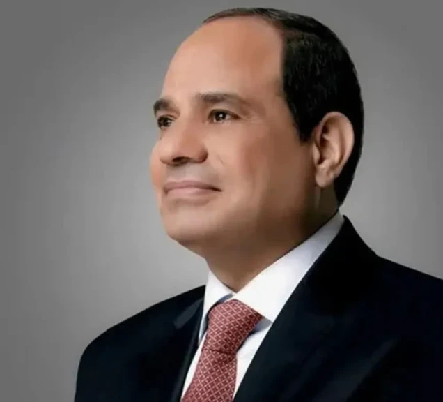 الرئيس عبد الفتاح السيسي يعود بسلامة الله إلى أرض الوطن