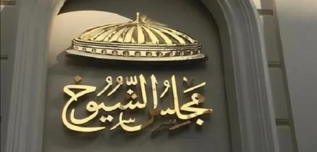 بدء فترة الدعاية لانتخابات مجلس الشيوخ اعتبارا من اليوم وحتى 31 يوليو الجارى