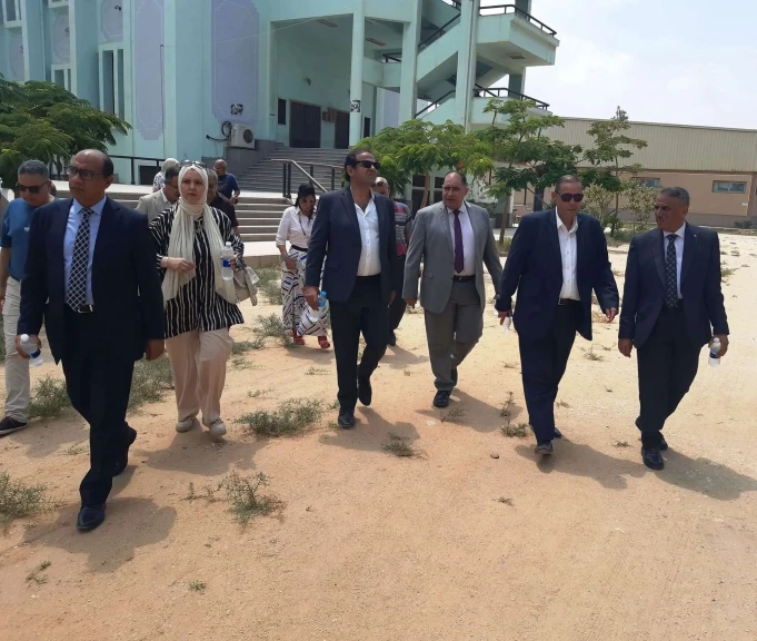 صورة توضيحية