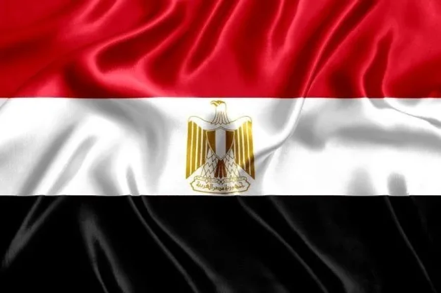 مصر ترحب بالبيان الصادر عن ٢٥ دولة حول الوضع في الأراضي الفلسطينية المحتلة