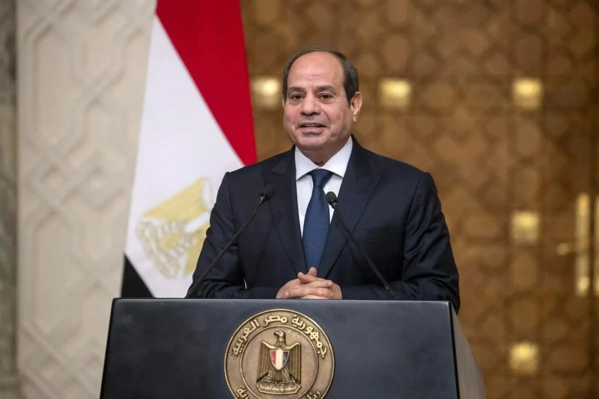 الرئيس السيسي يؤكد أهمية مشروعات البتروكيماوت والصناعات التعدينية