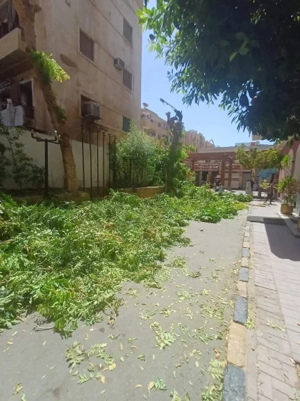 صورة توضيحية
