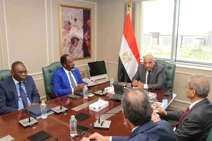 وزير الكهرباء والطاقة يستقبل المدير العام لاتحاد مرافق الطاقة في أفريقيا