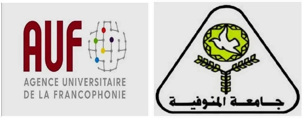 صورة توضيحية