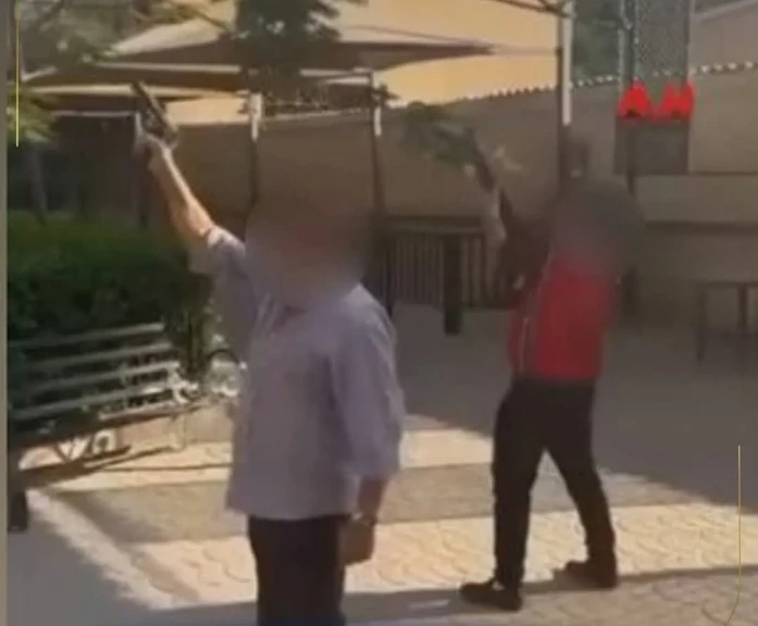 صورة توضيحية 