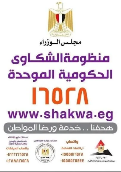 صورة توضيحية 