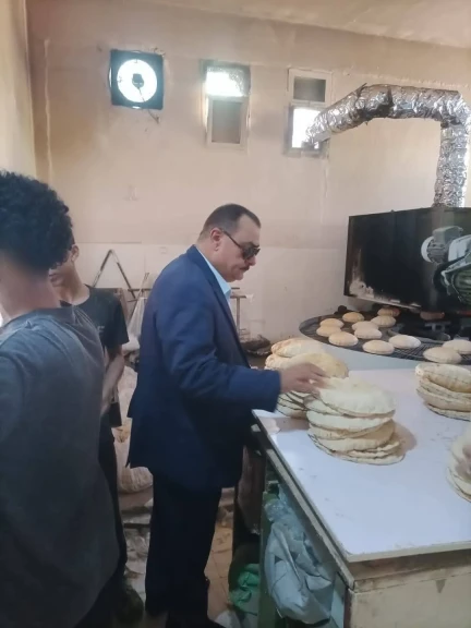 صورة توضيحية 