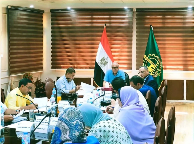 صورة توضيحية 