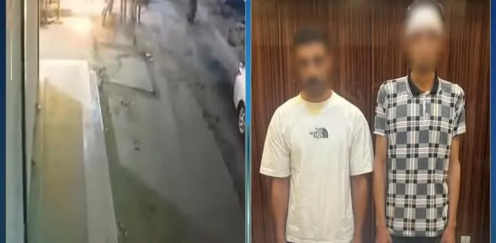 صورة توضيحية 