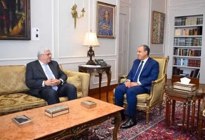 وزير الخارجية يبحث مع وزير التعليم العالي التعاون المشترك