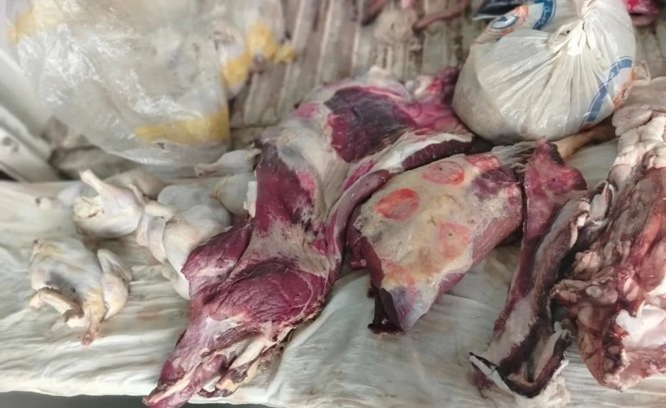 ضبط لحوم مذبوحة خارج المجازر ودواجن مجهولة المصدر غير صالحة للاستهلاك الادمي بالسادات