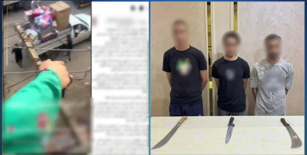 الداخلية:كشف ملابسات مقطع فيديو بالتعدى علي سيدة وسرقة المنقولات الخاصة بالدقهلية