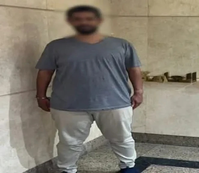 صورة توضيحية 