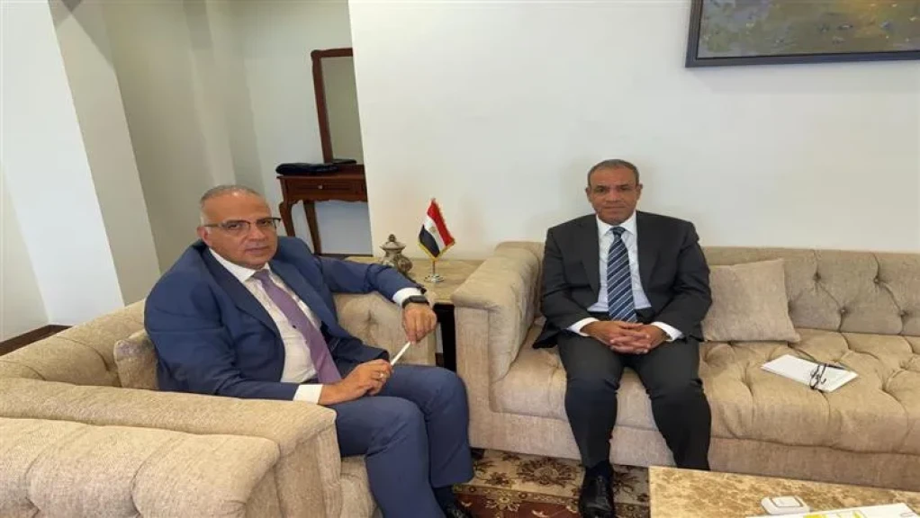وزيرا الخارجية والري المصريان:رفض مصري تام للإجراءات الأحادية المخالفة للقانون الدولي في حوض النيل الشرقي