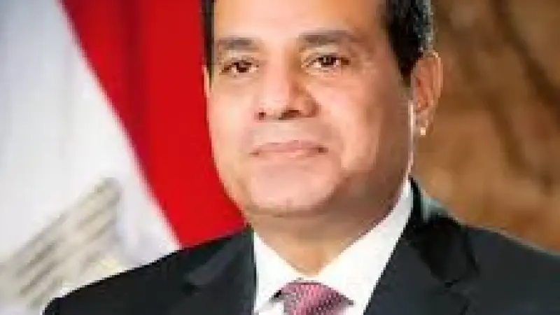 الرئيس السيسى يصدّق على قانون بعض قواعد وإجراءات التصرف فى أملاك الدولة الخاص