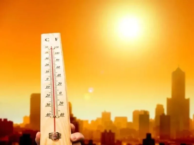 النشرة الجوية ليوم غد الأحد 17 أغسطس 2025