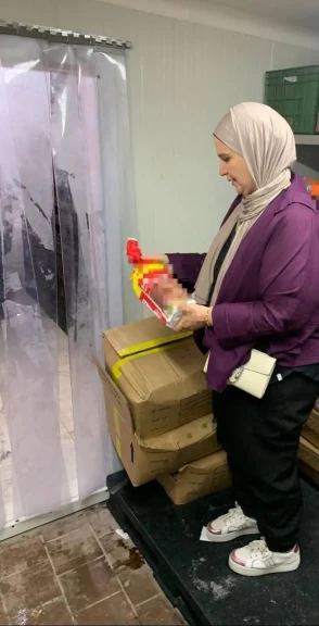 محافظ الدقهلية: ضبط 2.5 طن عينات لحوم غير صالحة خلال حملة بمدينة المنصورة