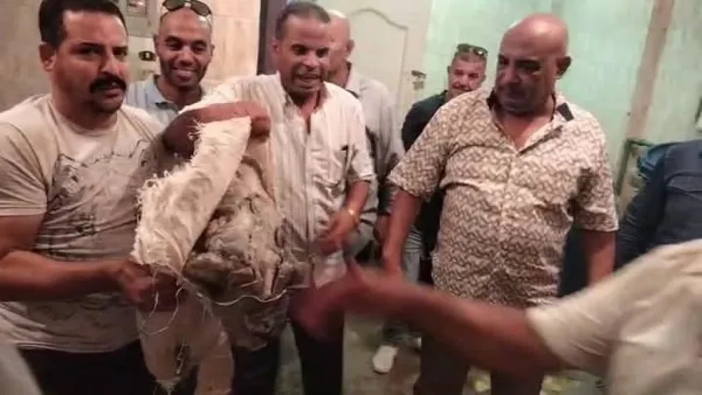 محافظة الجيزة تضبط 3 أطنان أحشاء داخلية ” لحمه رأس” غير صالحة للاستهلاك الآدمي بأوسيم