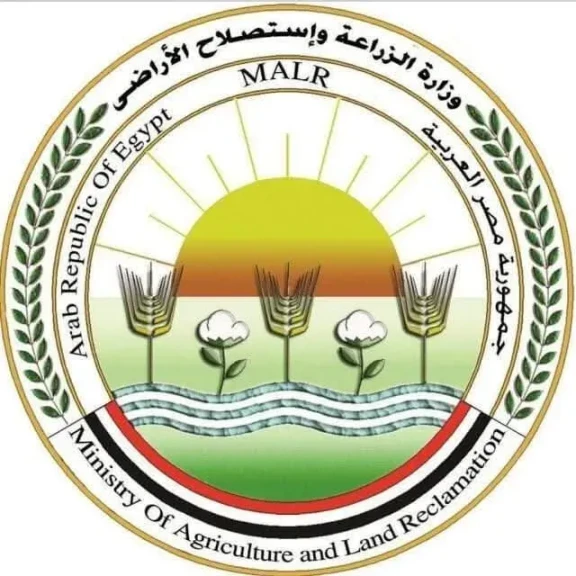 وزارة الزراعة تنفي شائعة عزوف المزارعين عن زراعة القمح