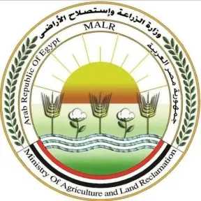 وزارة الزراعة تنفي شائعة عزوف المزارعين عن زراعة القمح