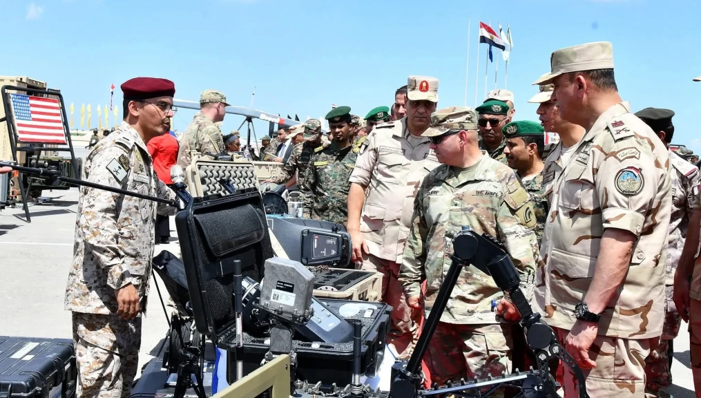 صورة توضيحية